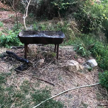 Uzeiri ساراندا
